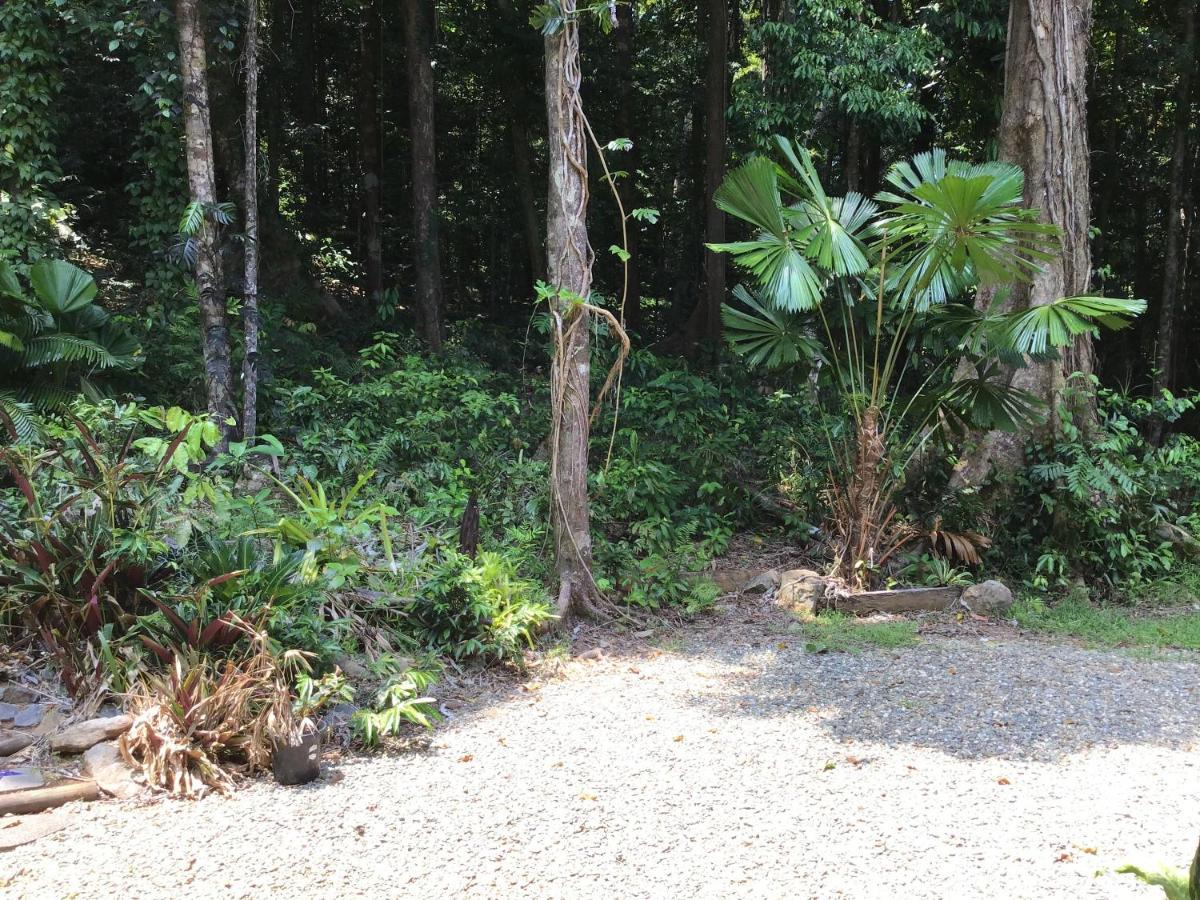 Forest Views Diwan Exterior photo